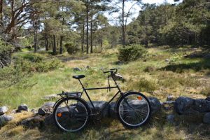 Fahrrad vor finnischer Natur